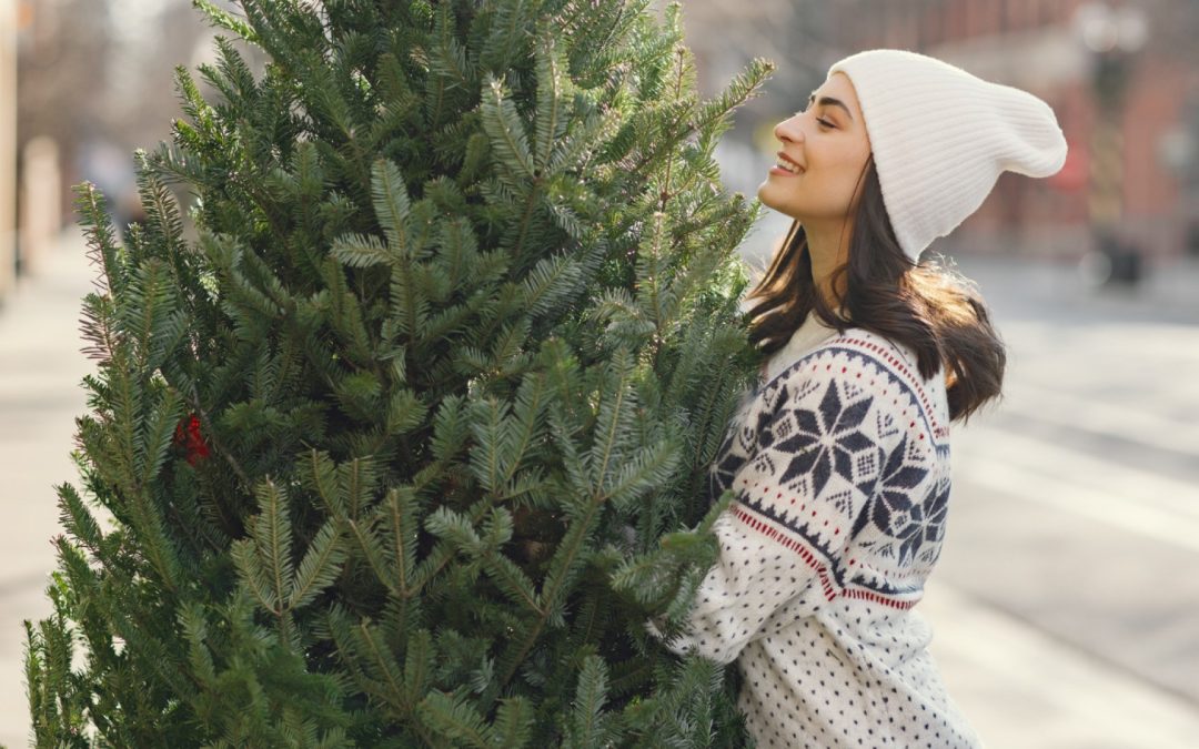 L’authenticité du sapin naturel : un élément clé pour une décoration de noël unique