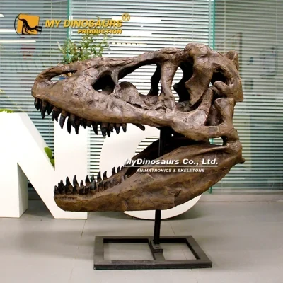 image Réplique de crâne de dinosaure carnivore à la mâchoire garnie de dents, montée sur un socle en métal dans un showroom