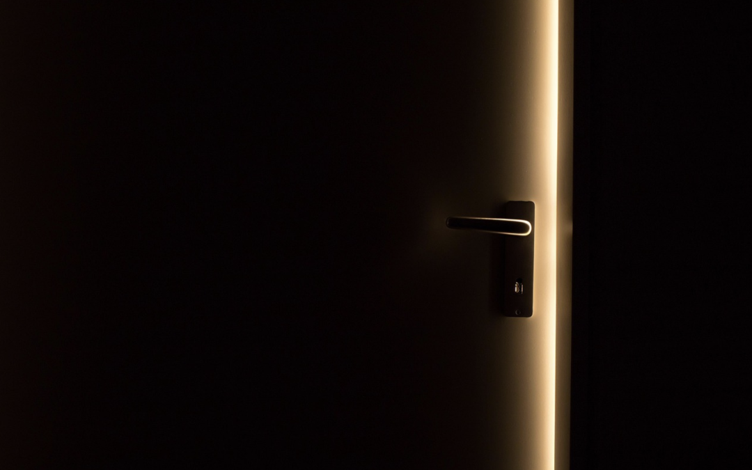 Sécuriser son habitation dès l’entrée avec une porte bien pensée