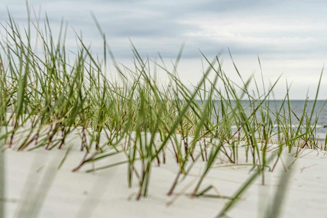 tapis japonais tapis japonais