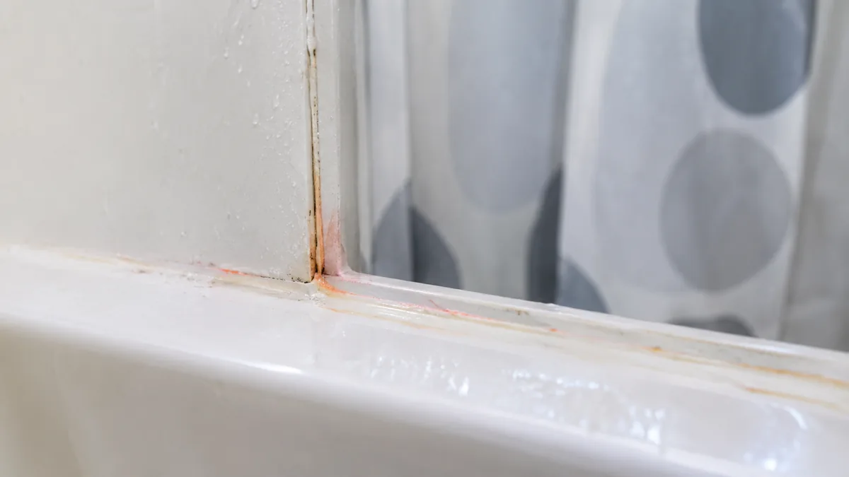 Traces de moisissure rose sur un joint de douche en silicone